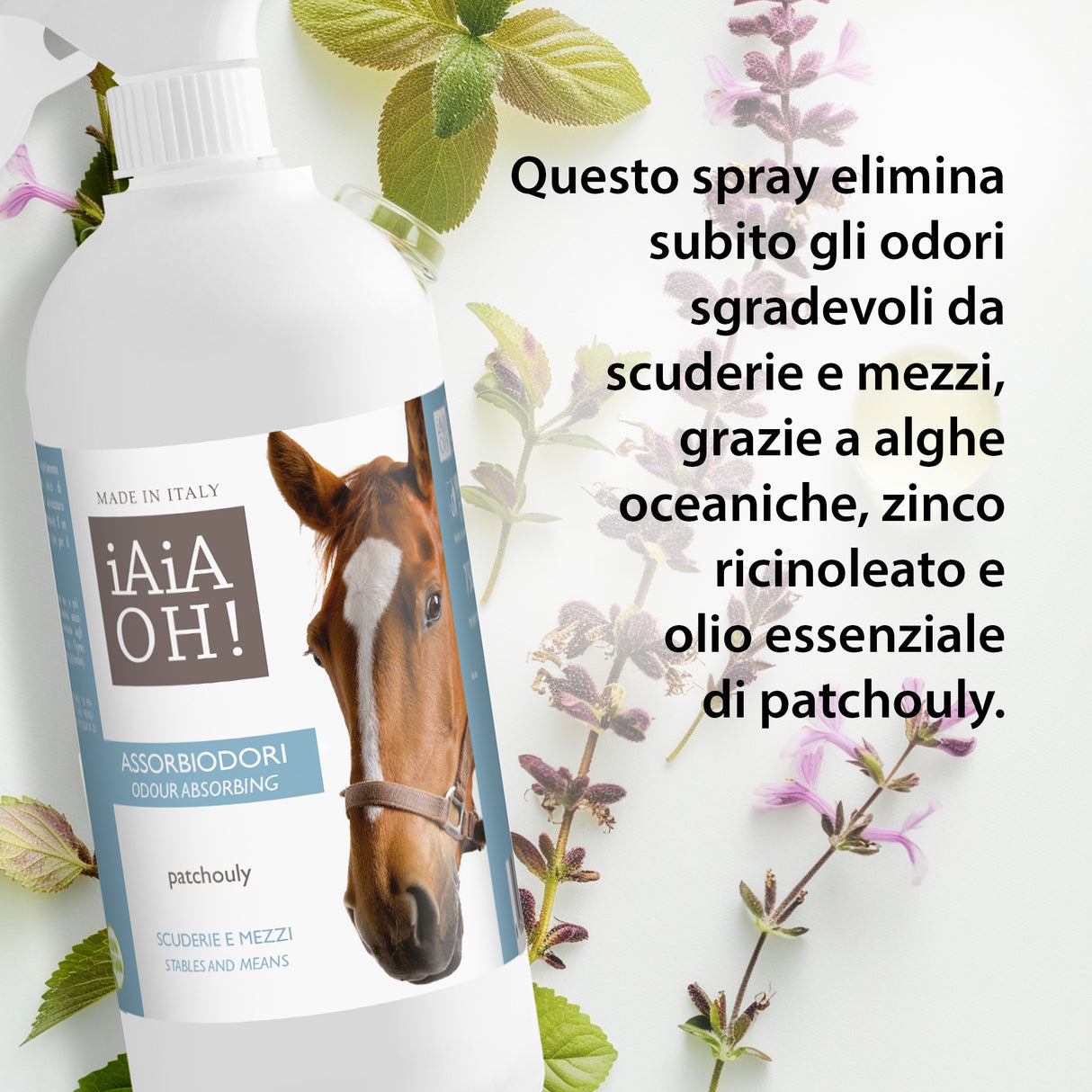 ASSORBIODORI SCUDERIE E MEZZI