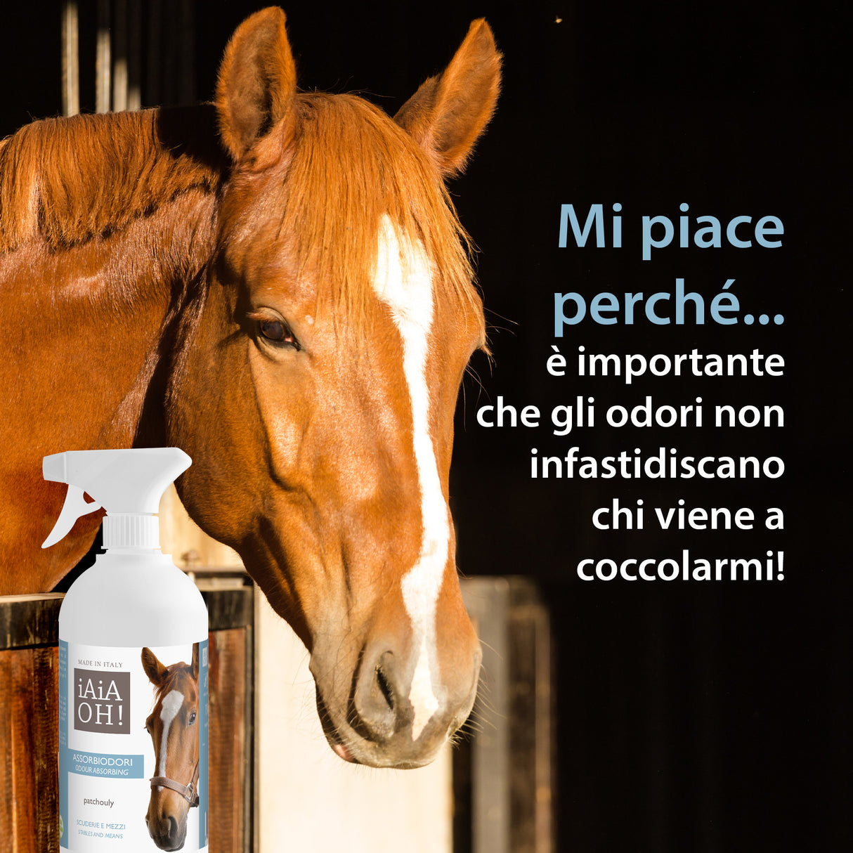 ASSORBIODORI SCUDERIE E MEZZI