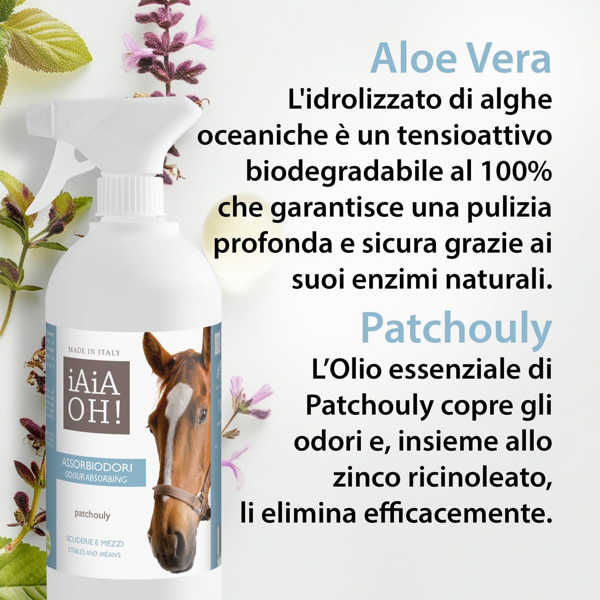 ASSORBIODORI SCUDERIE E MEZZI