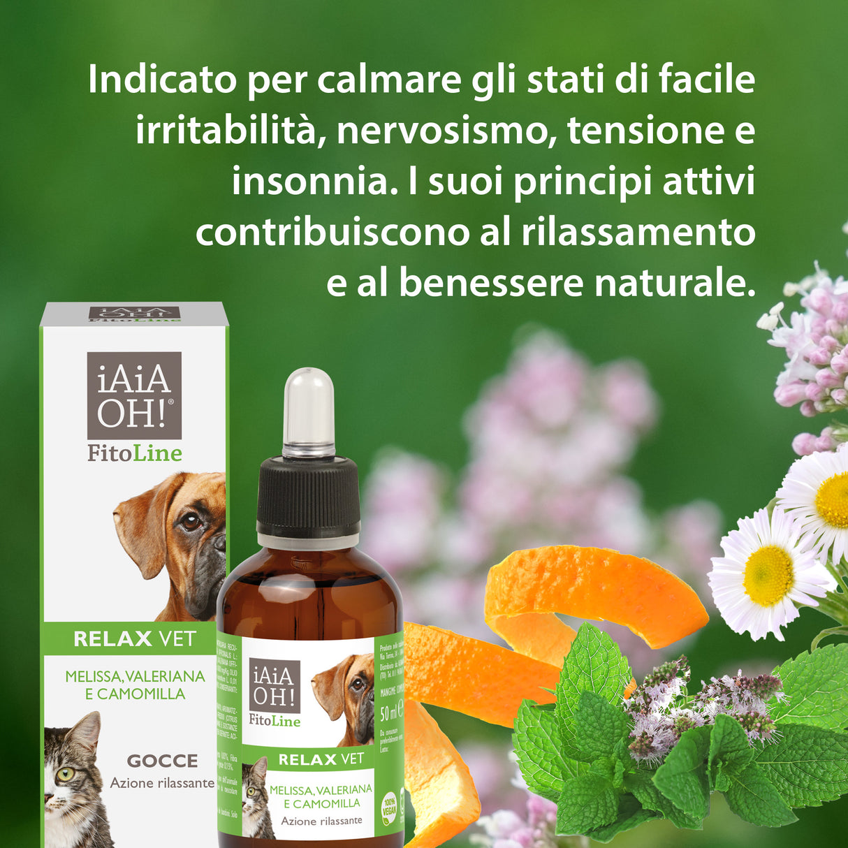 RELAX VET AZIONE RILASSANTE