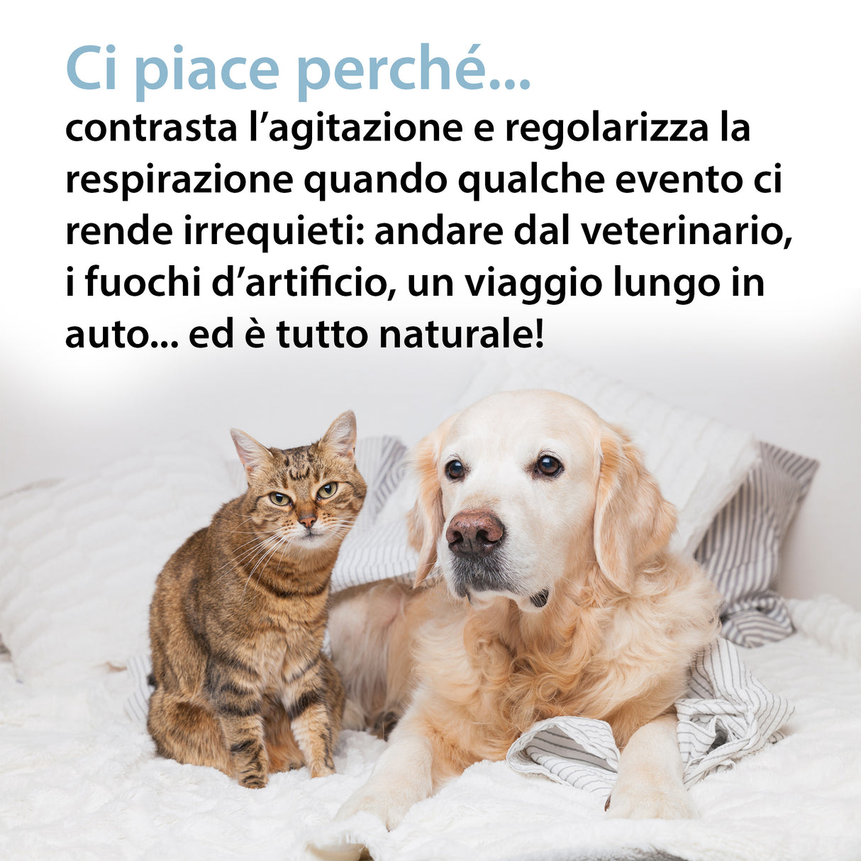 RELAX VET AZIONE RILASSANTE