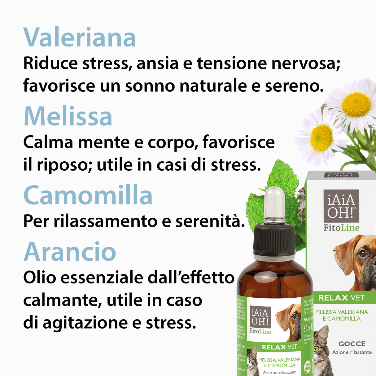 RELAX VET AZIONE RILASSANTE