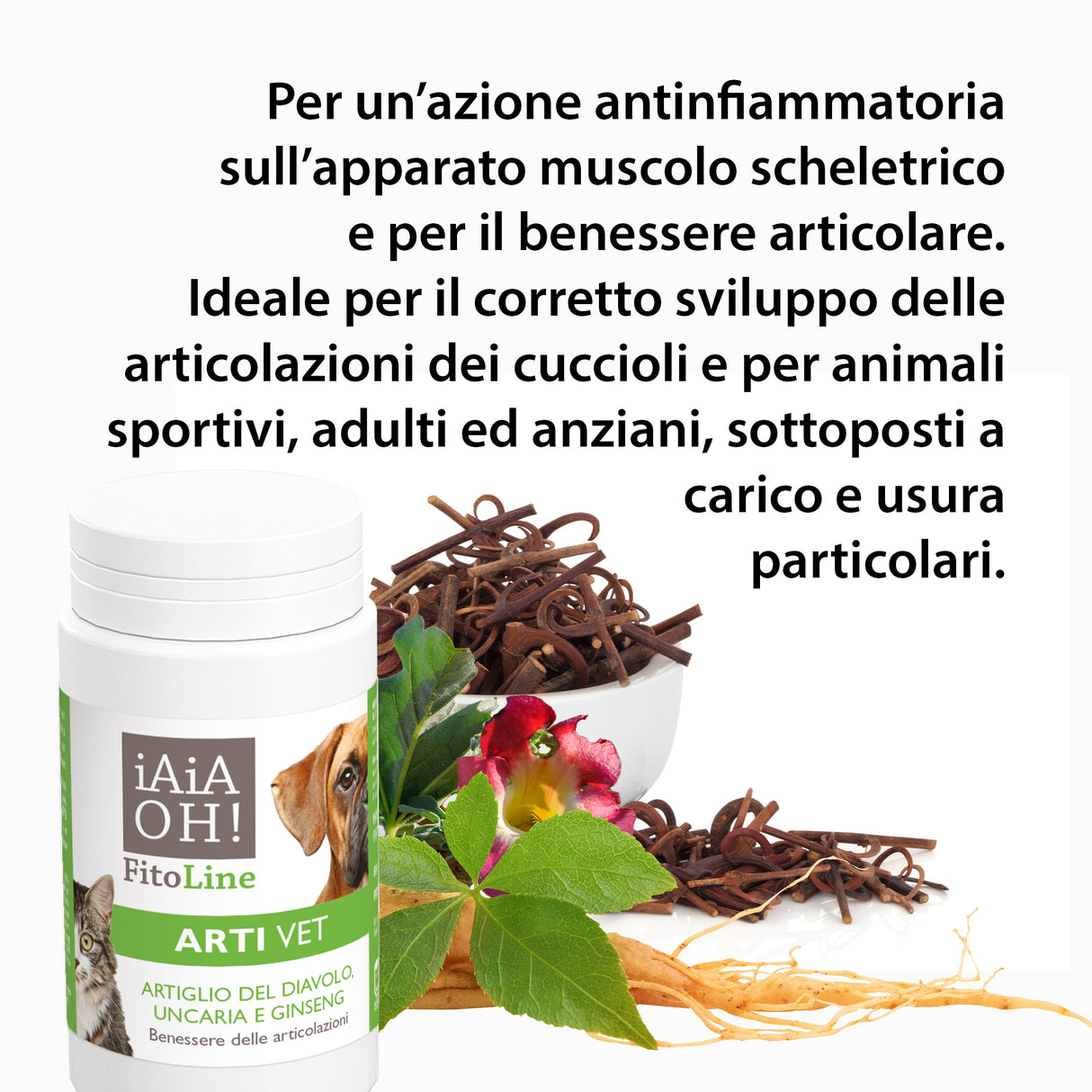 ARTI VET BENESSERE ARTICOLAZIONI
