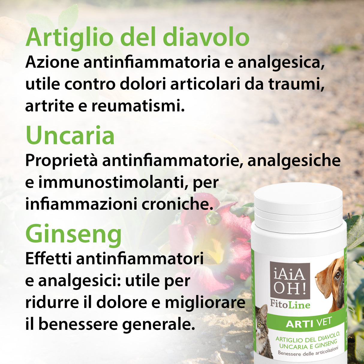 ARTI VET BENESSERE ARTICOLAZIONI
