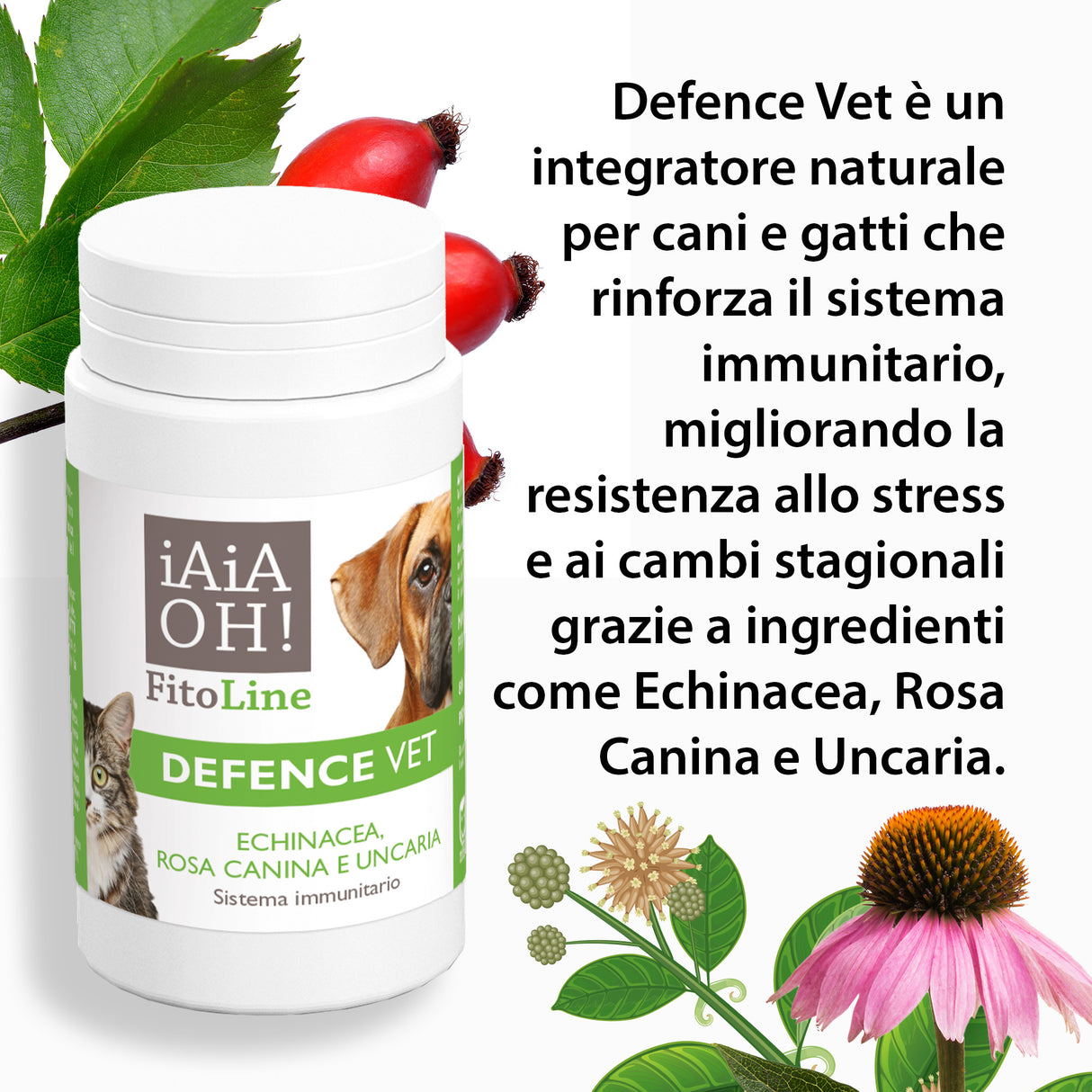 DEFENCE VET SISTEMA IMMUNITARIO