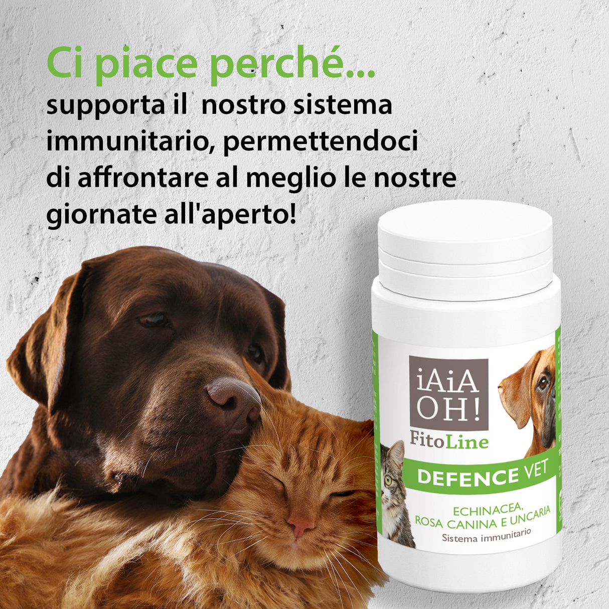 DEFENCE VET SISTEMA IMMUNITARIO