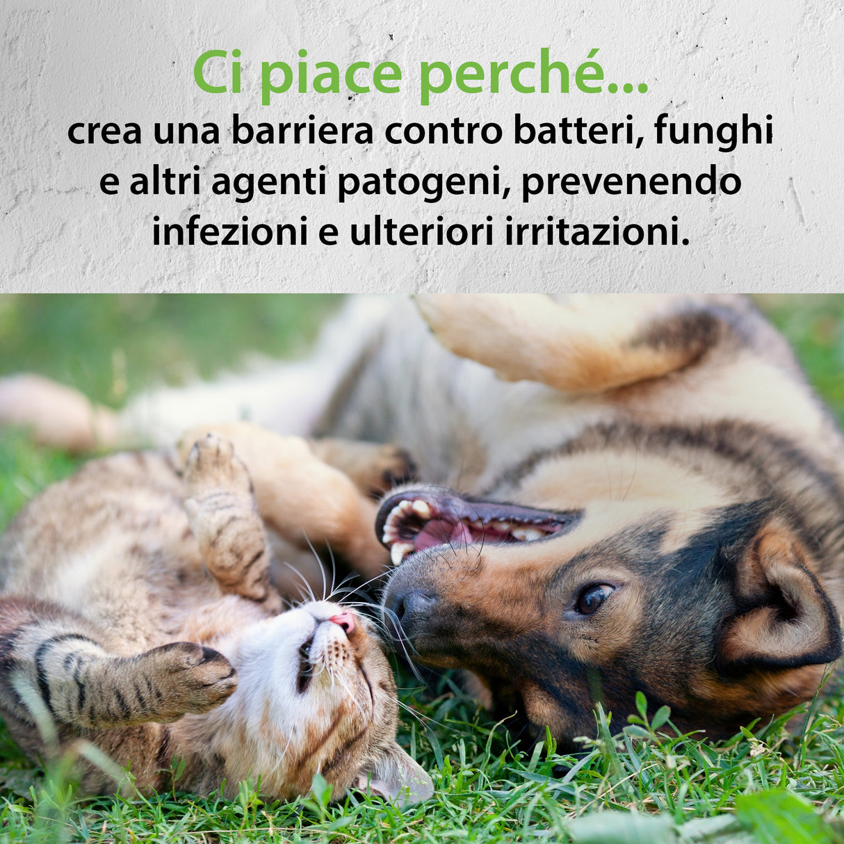 REPAR VET CREMA GEL RIPARATRICE