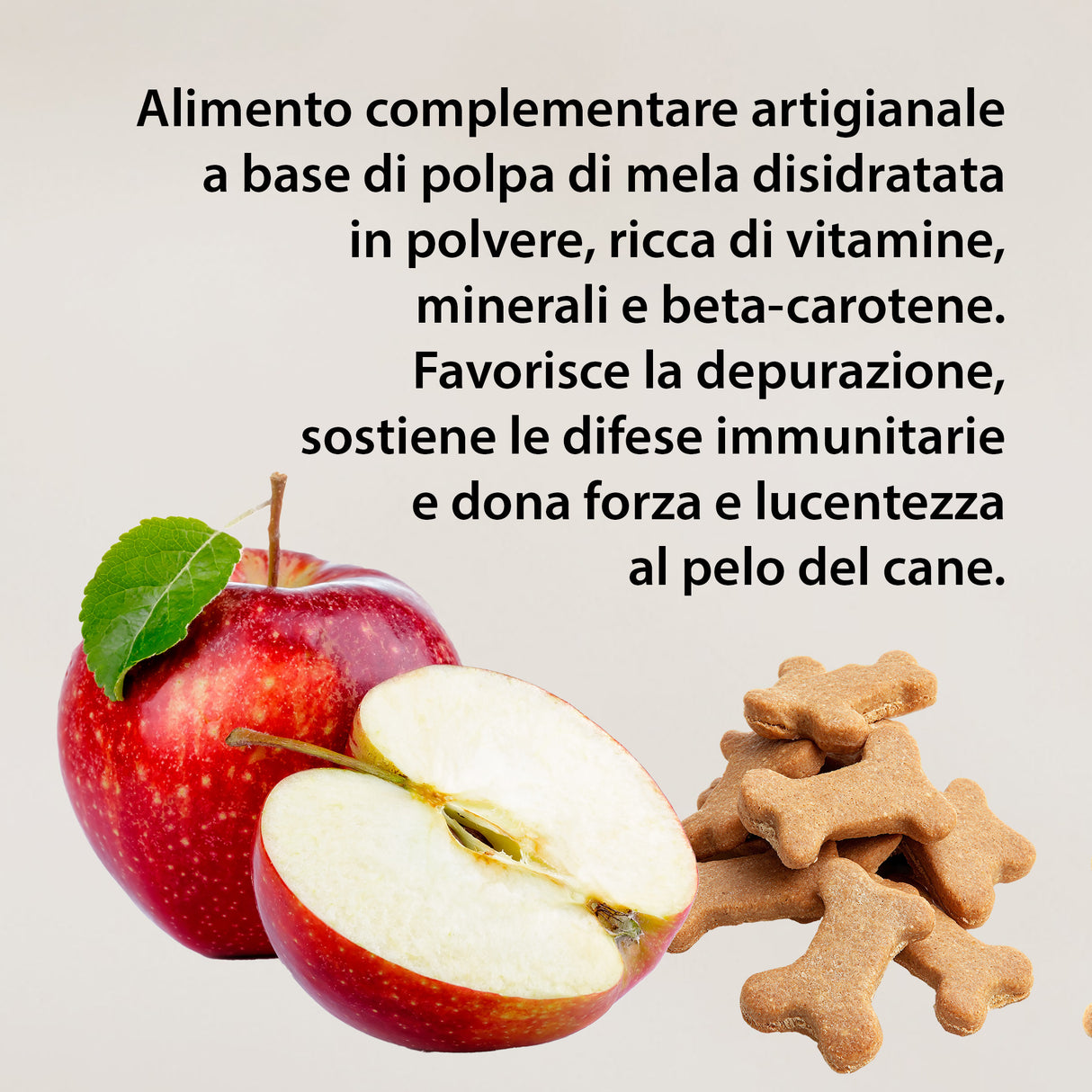 BISCOTTO SNACK CON MELA - Ricco di vitamine e minerali