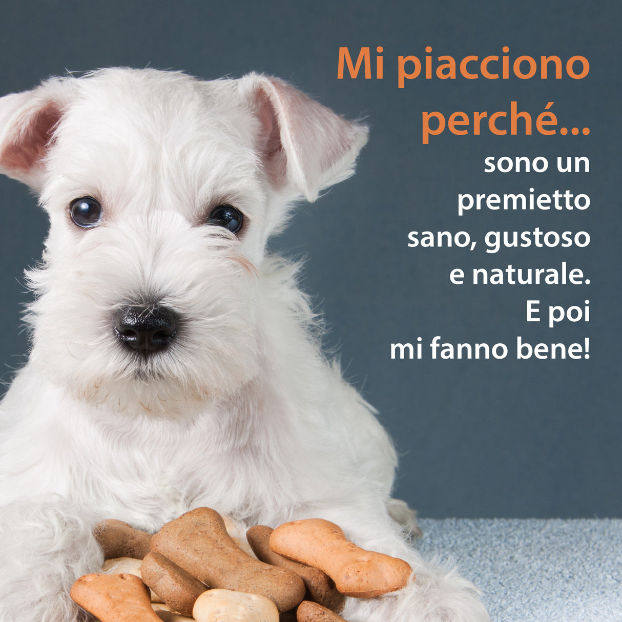 BISCOTTO SNACK CON MELA - Ricco di vitamine e minerali