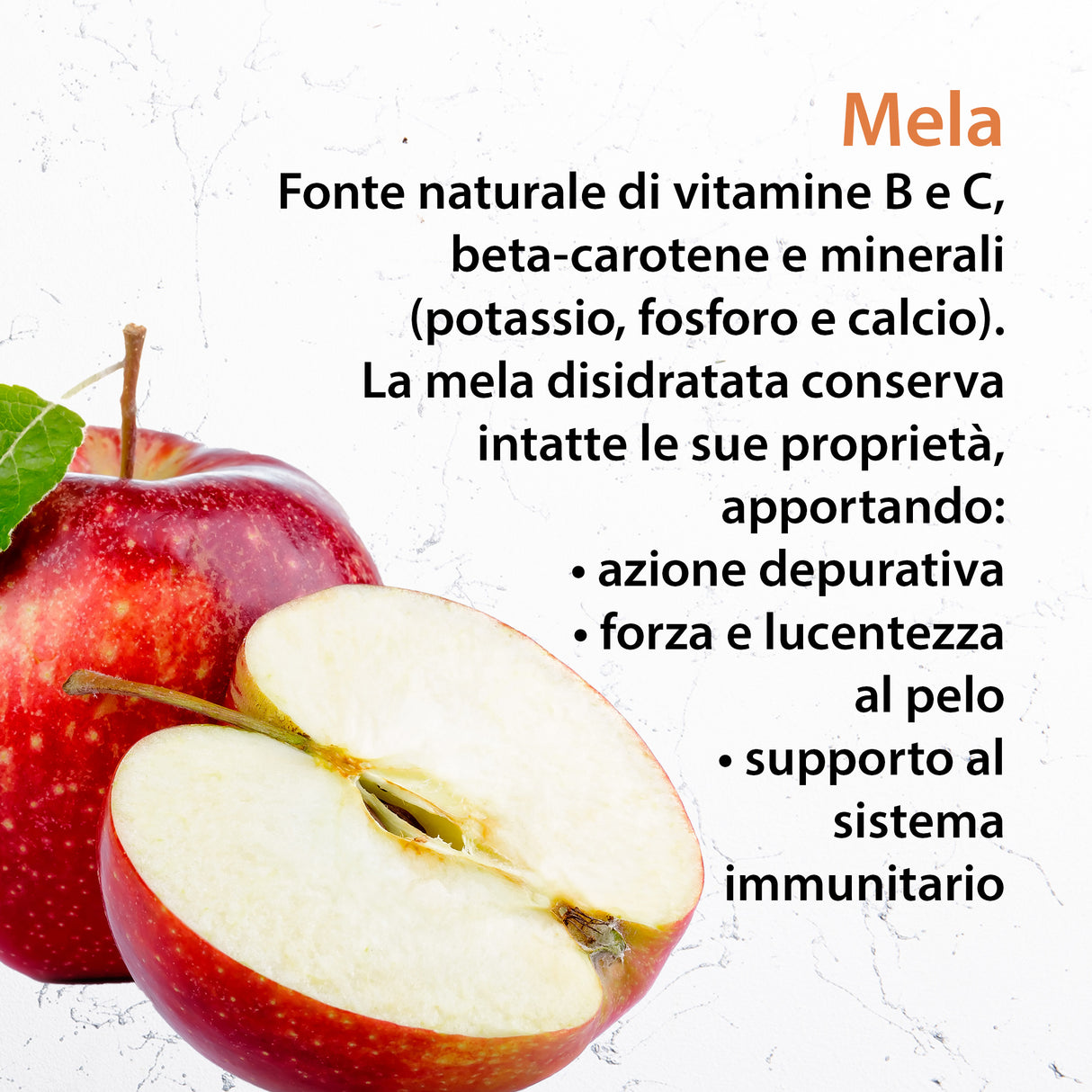 BISCOTTO SNACK CON MELA - Ricco di vitamine e minerali
