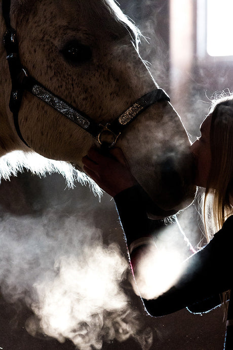 Coccole d'inverno per il cavallo (e per il suo ambiente)
