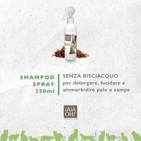 Video Tutorial SHAMPOO SPRAY SENZA RISCIACQUO per il tuo gatto