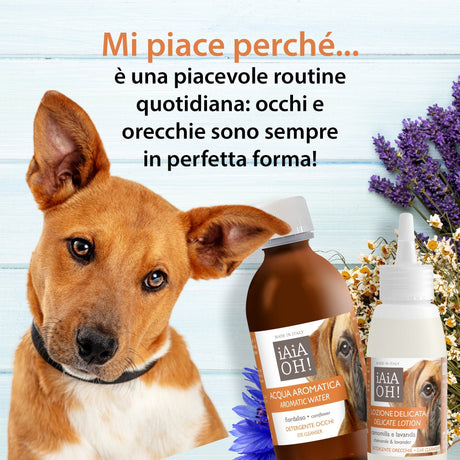 CANE - OCCHI & ORECCHIE PACK