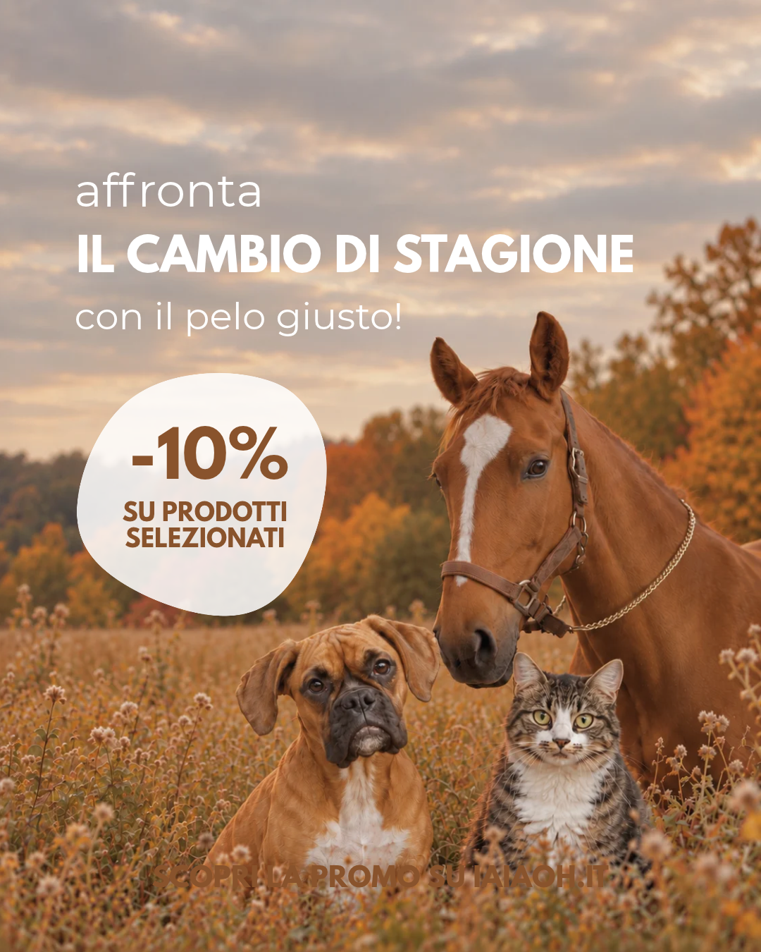 Cambio di stagione e muta del pelo: AFFRONTA L'AUTUNNO CON IL PELO GIUSTO!