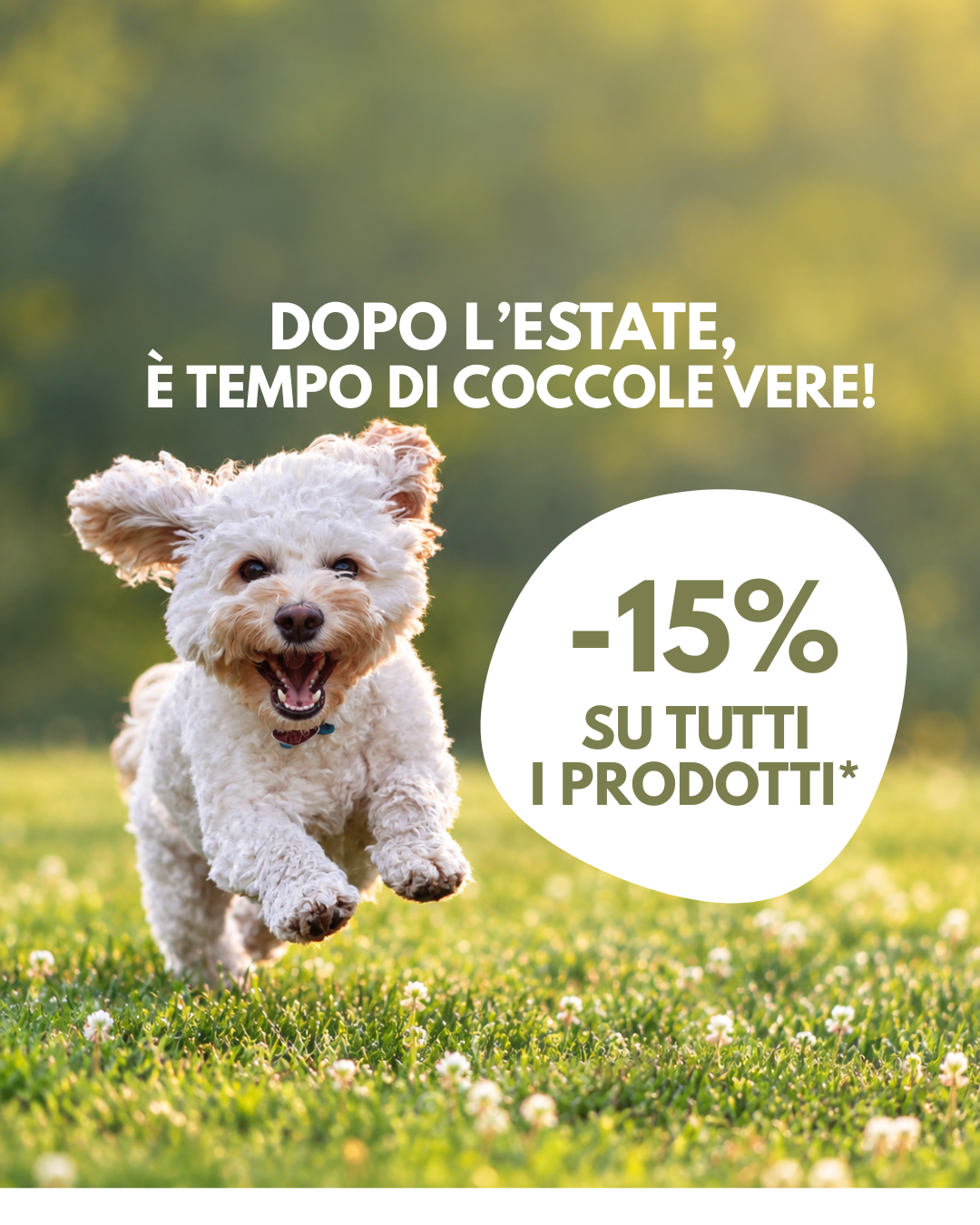 Speciale ripresa: COCCOLE, CURA E IGIENE PER IL LORO BENESSERE QUOTIDIANO