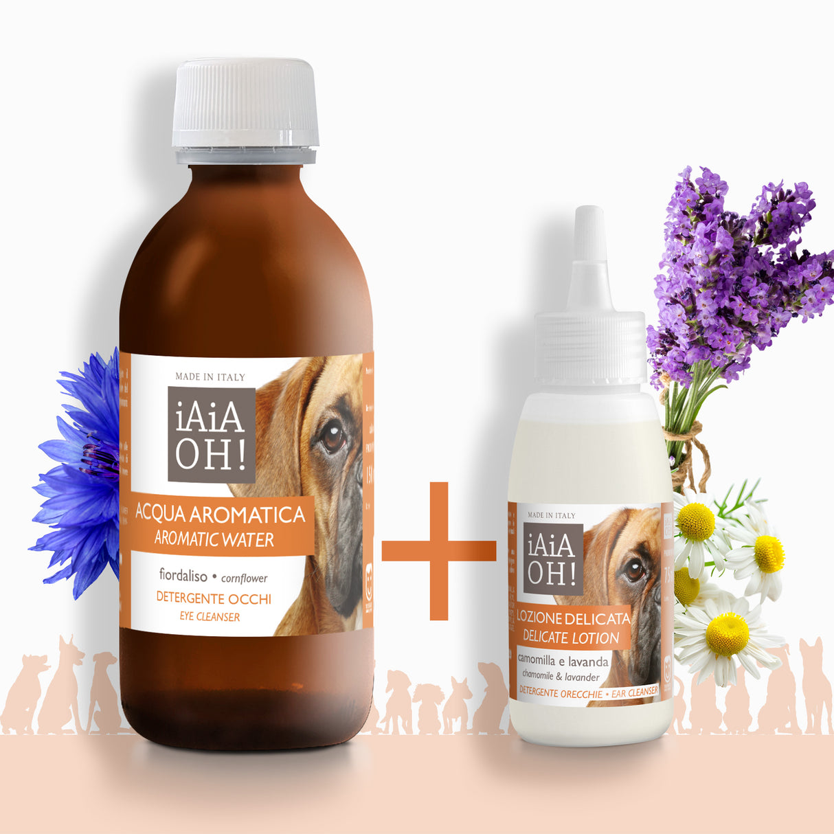 CANE - OCCHI & ORECCHIE PACK