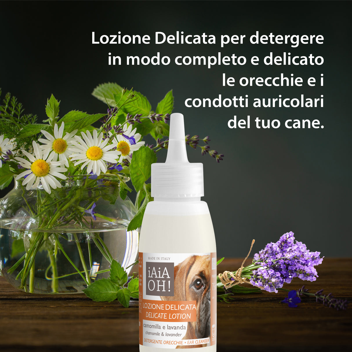 CANE - OCCHI & ORECCHIE PACK