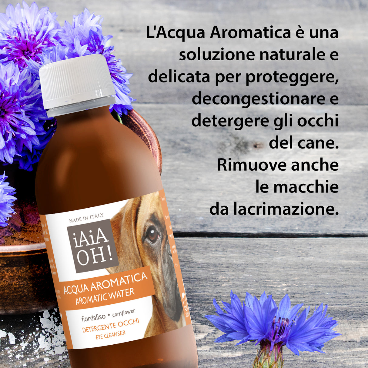 CANE - OCCHI & ORECCHIE PACK