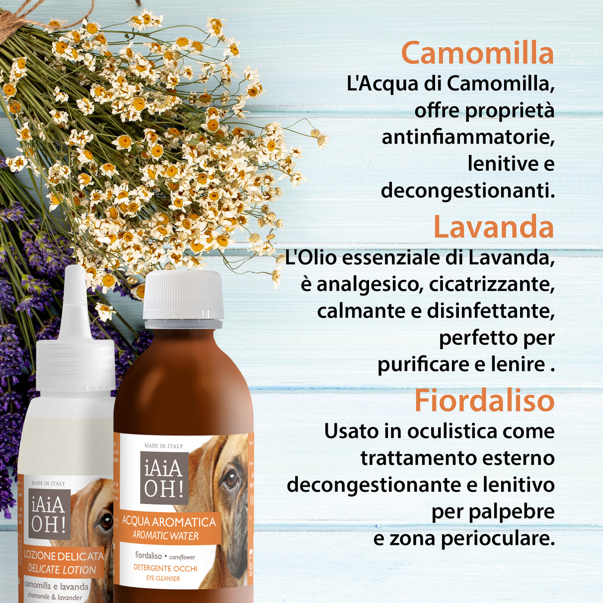 CANE - OCCHI & ORECCHIE PACK