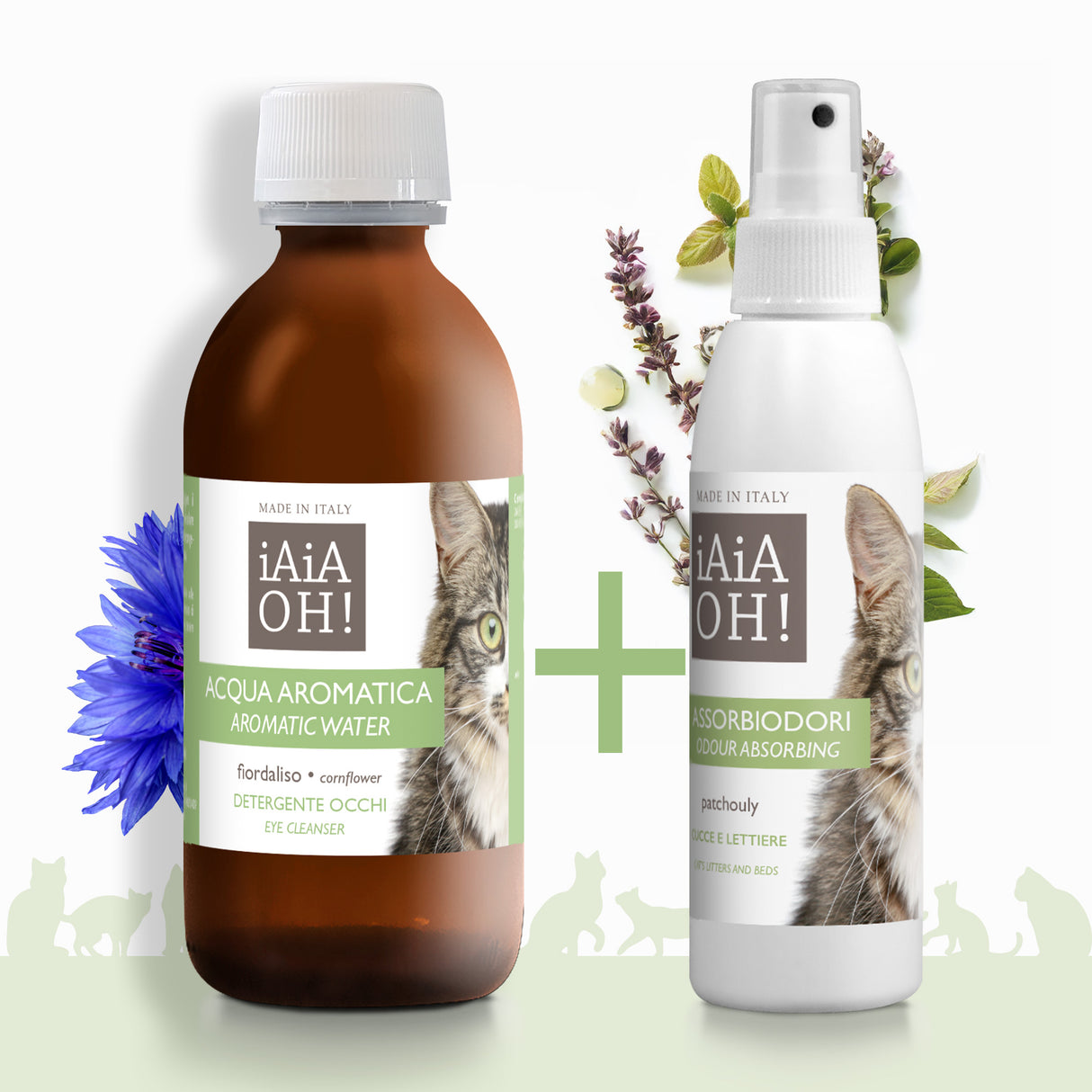 GATTO - OCCHI & AMBIENTE PACK