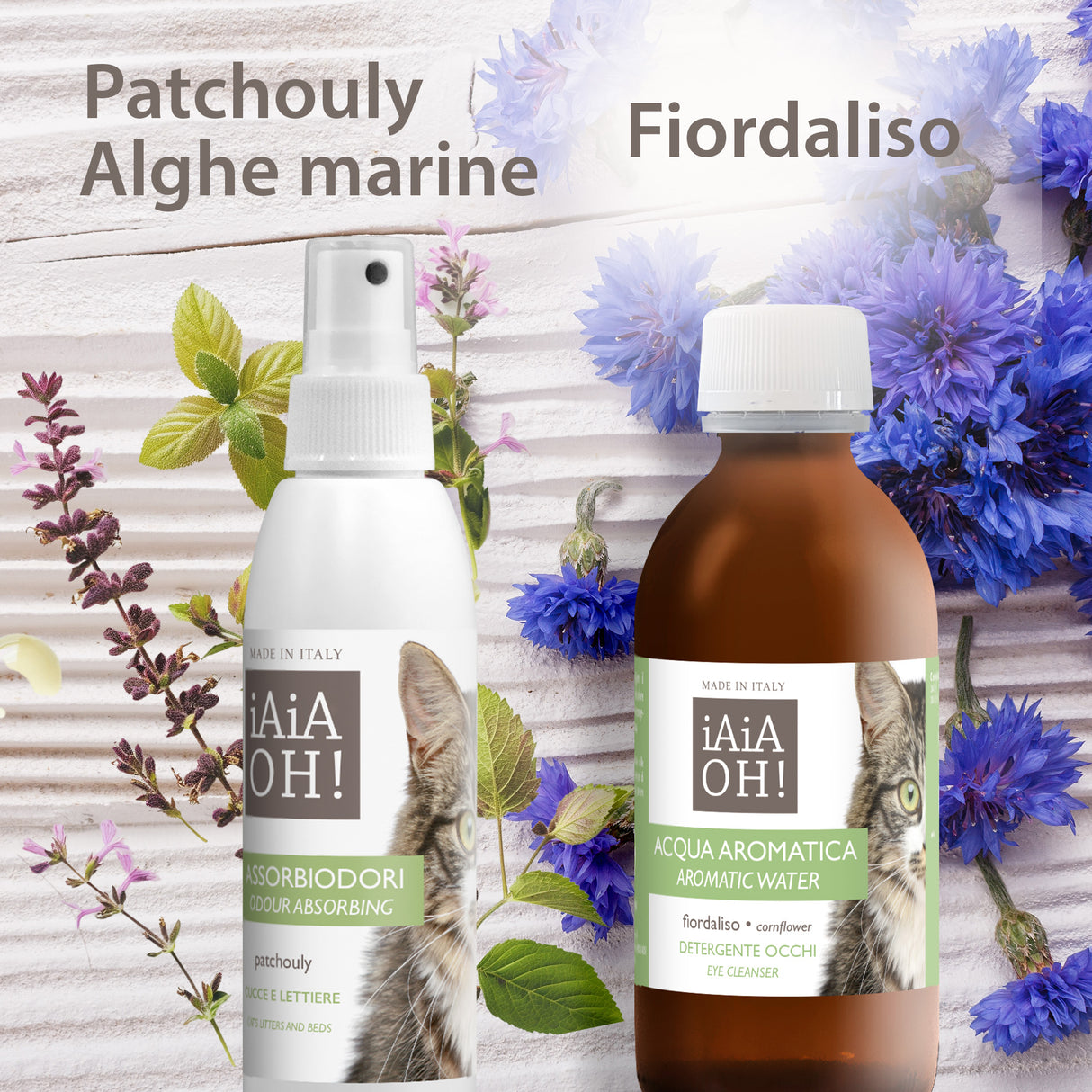 GATTO - OCCHI & AMBIENTE PACK