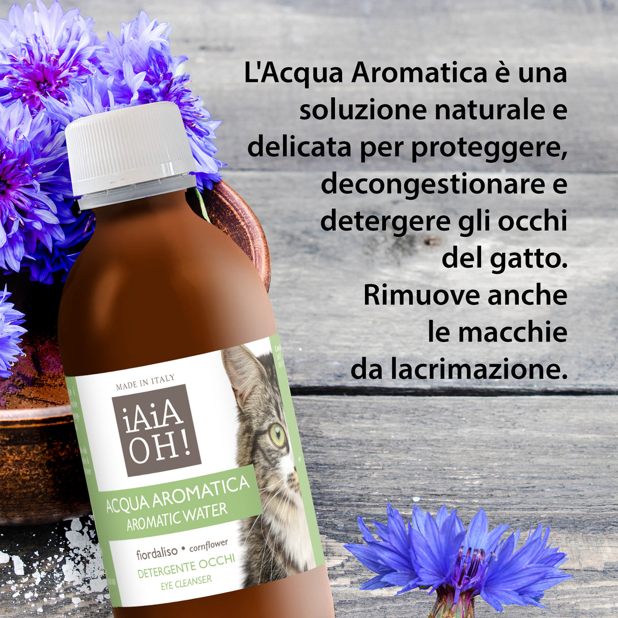 GATTO - OCCHI & AMBIENTE PACK