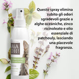 GATTO - OCCHI & AMBIENTE PACK