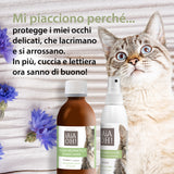 GATTO - OCCHI & AMBIENTE PACK