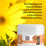 MUSCLE AND TENDON DECONGESTANT GEL