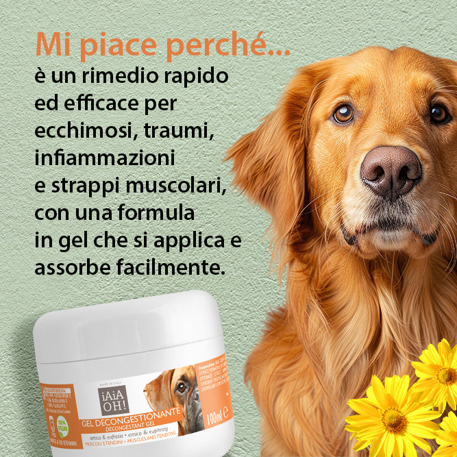 MUSCLE AND TENDON DECONGESTANT GEL