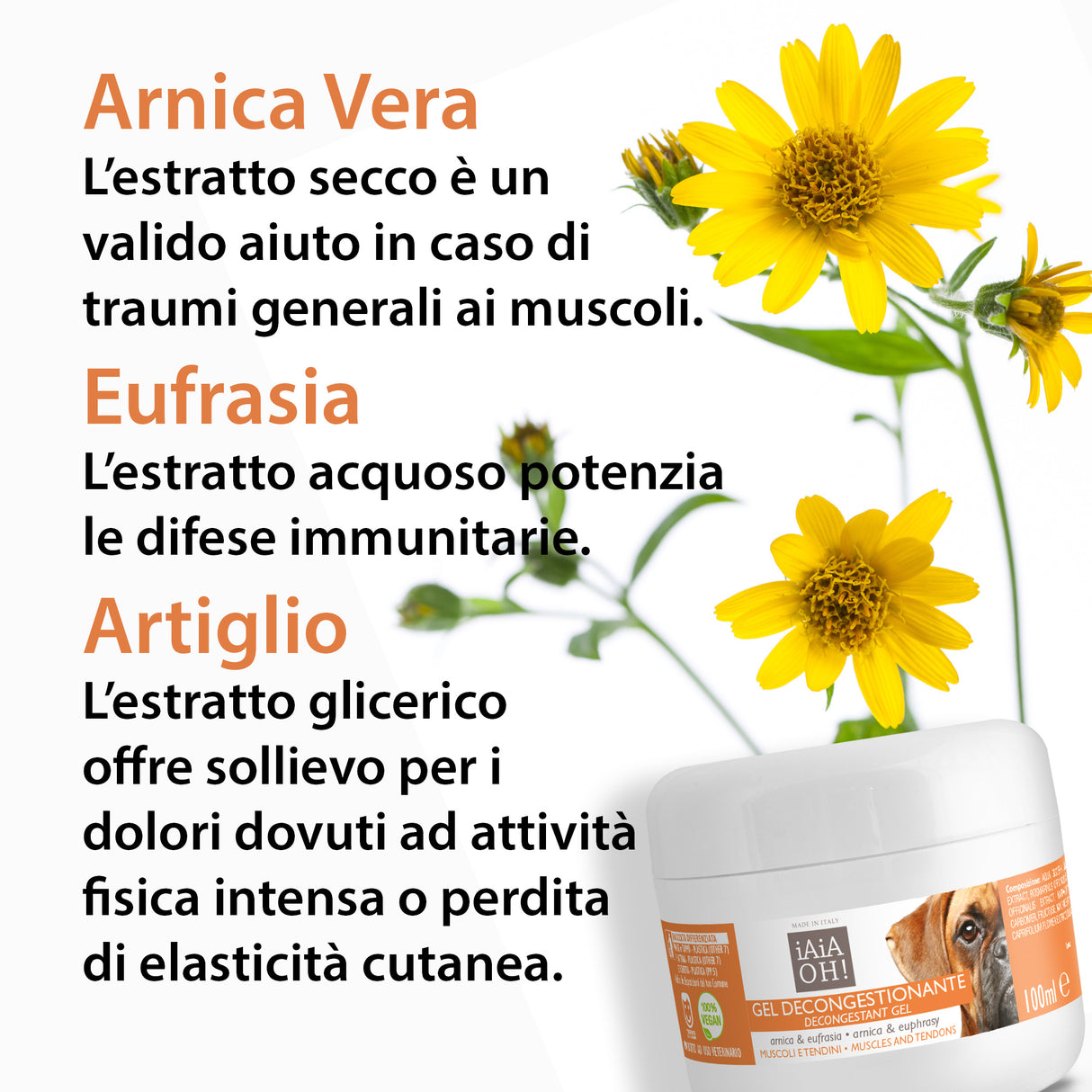 MUSCLE AND TENDON DECONGESTANT GEL