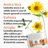 MUSCLE AND TENDON DECONGESTANT GEL