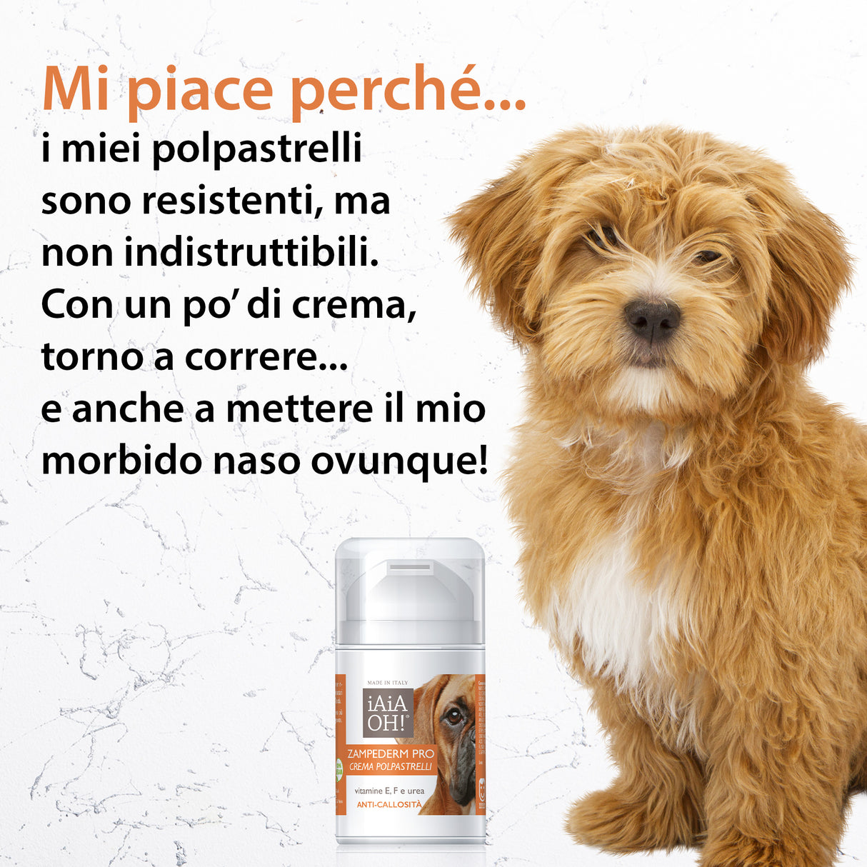ZAMPEDERM PRO – Crema protettiva per polpastrelli e tartufo