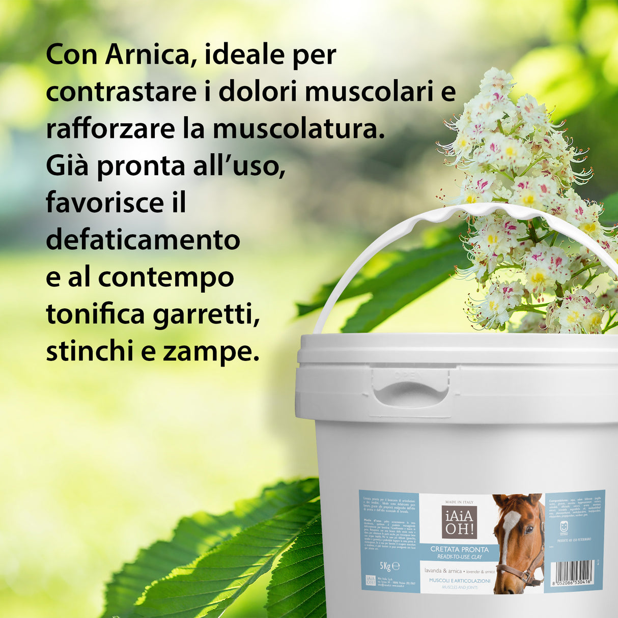 CRETATA PRONTA MUSCOLI E ARTICOLAZIONI