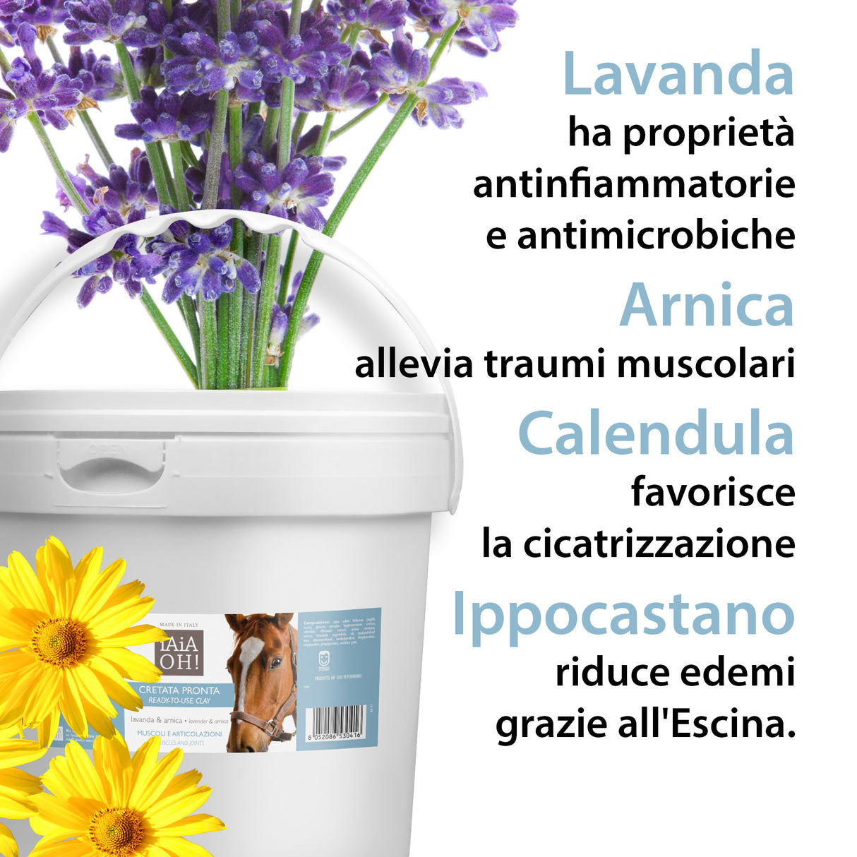 CRETATA PRONTA MUSCOLI E ARTICOLAZIONI