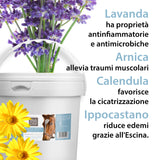 CRETATA PRONTA MUSCOLI E ARTICOLAZIONI