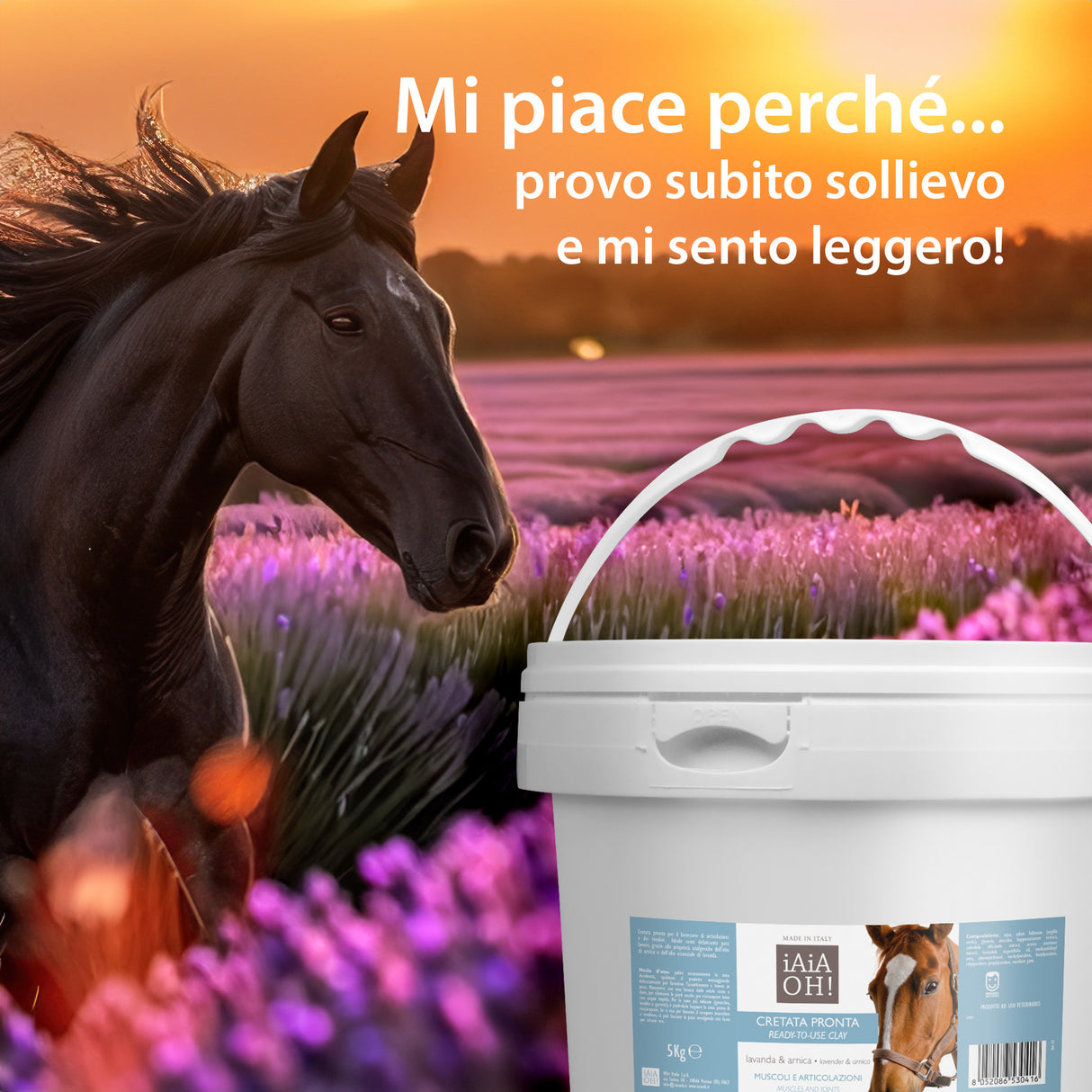 CRETATA PRONTA MUSCOLI E ARTICOLAZIONI