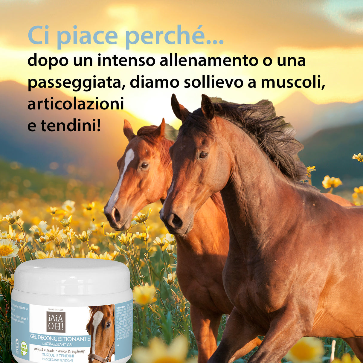 GEL DECONGESTIONANTE MUSCOLI E TENDINI