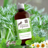 STOMACH TINCTURE - Natural support for the digestion and well-being of the horse's stomach