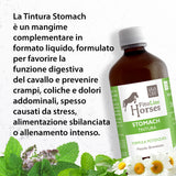 STOMACH TINCTURE - Natural support for the digestion and well-being of the horse's stomach