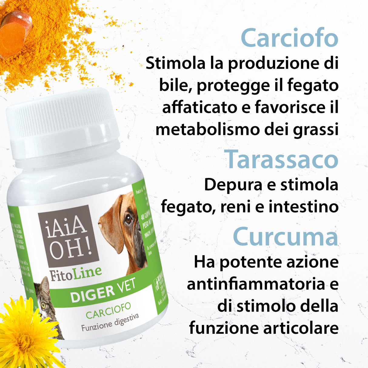 DIGER VET DIGESTIVE FUNCTION