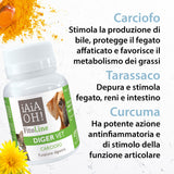 DIGER VET DIGESTIVE FUNCTION