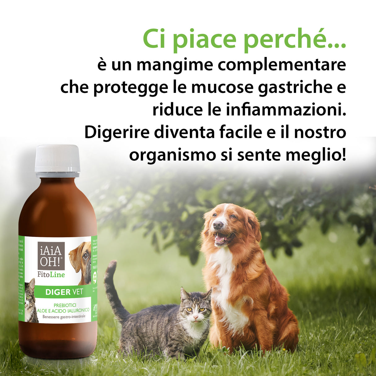 DIGER VET per il BENESSERE GASTRO INTESTINALE - con PREBIOTICI