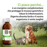 DIGER VET per il BENESSERE GASTRO INTESTINALE - con PREBIOTICI
