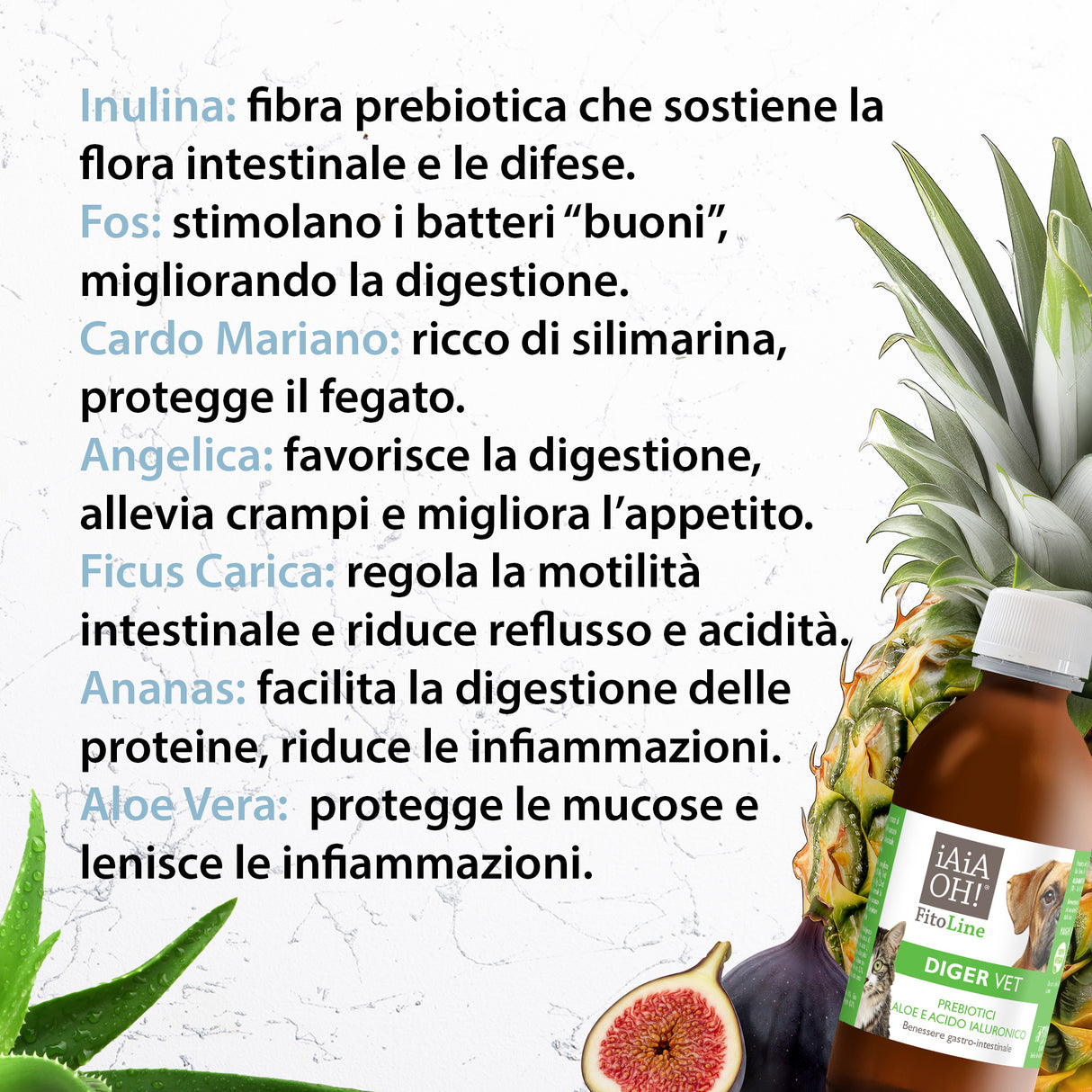 DIGER VET per il BENESSERE GASTRO INTESTINALE - con PREBIOTICI