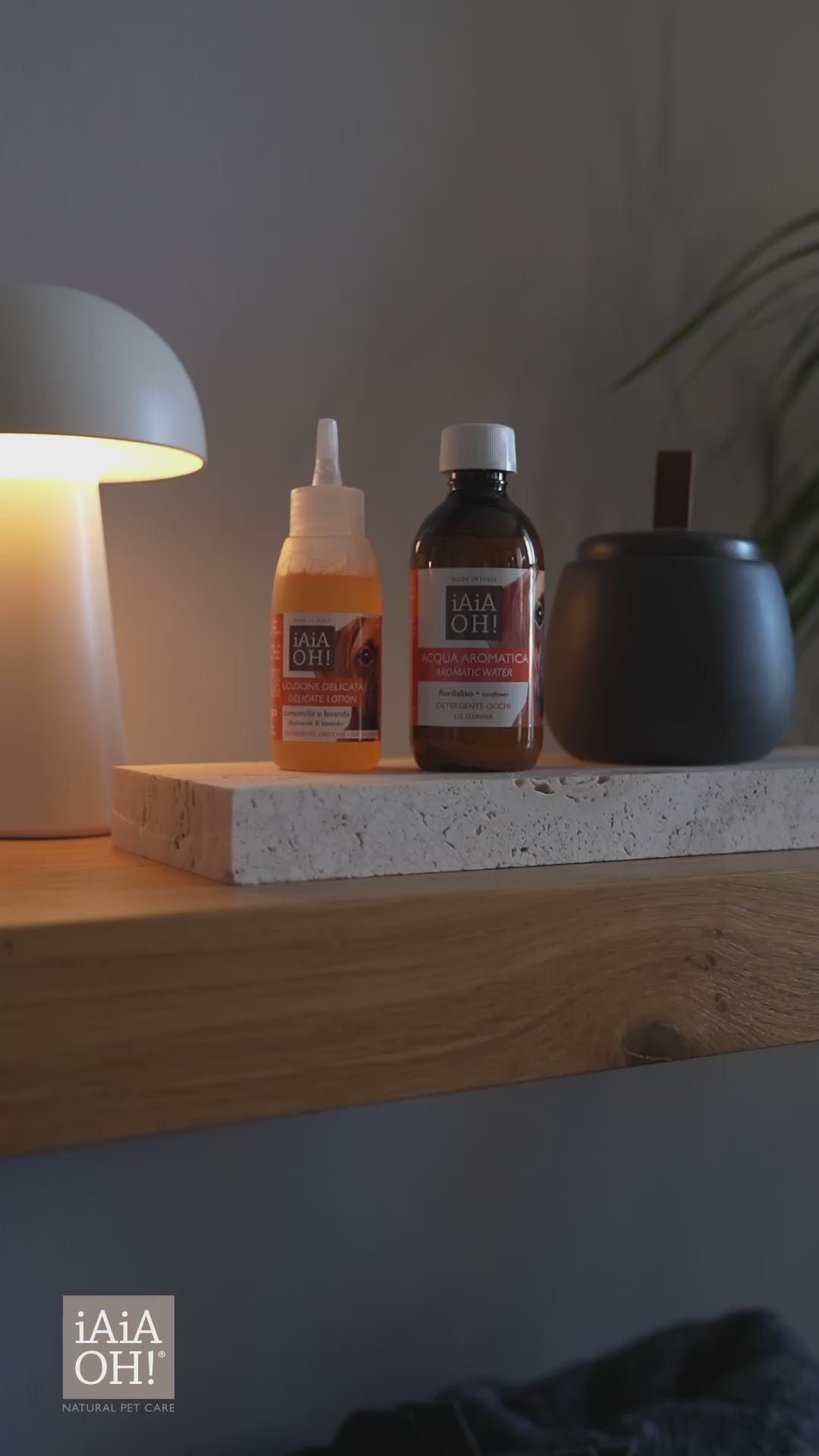 CANE - OCCHI & ORECCHIE PACK